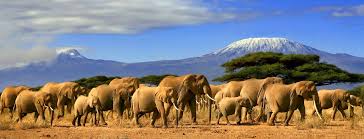 Is Kenya Safe for Tourists? Travel Tips, Local Insights &amp; Safety Updates (2025 Guide)